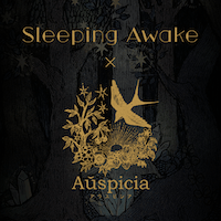 Sleeping Awake × Auspicia