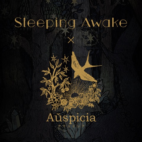 Sleeping Awake × Auspicia